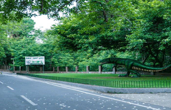 Guindy National Park
