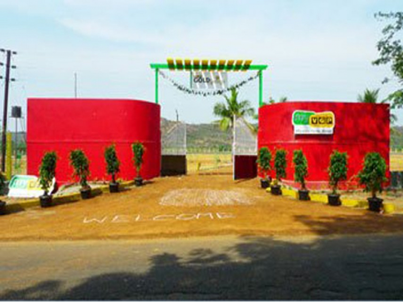 VGP Gold Springs