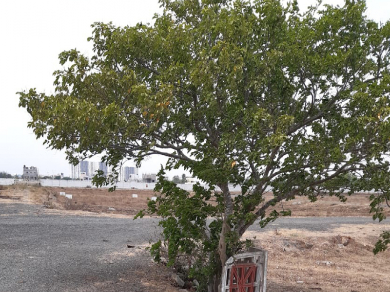 Elite Sri Balaji Nagar