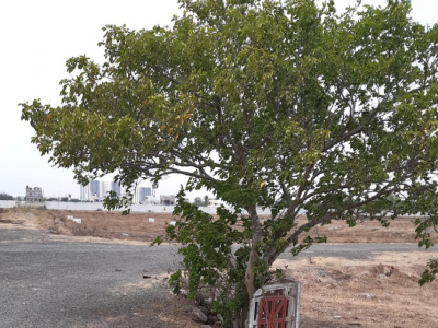 Elite Sri Balaji Nagar