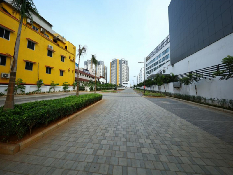 ASV Alexandria