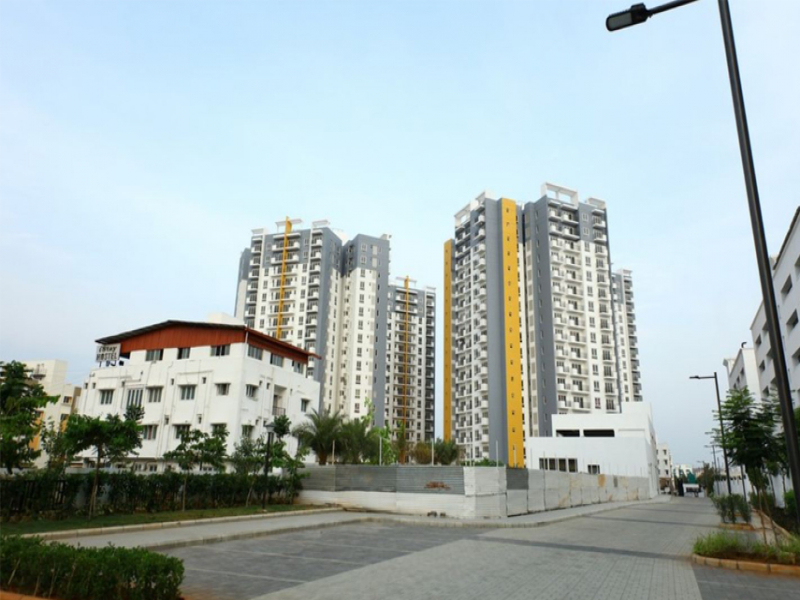 ASV Alexandria