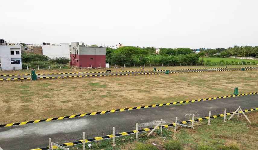 Urban Meadows