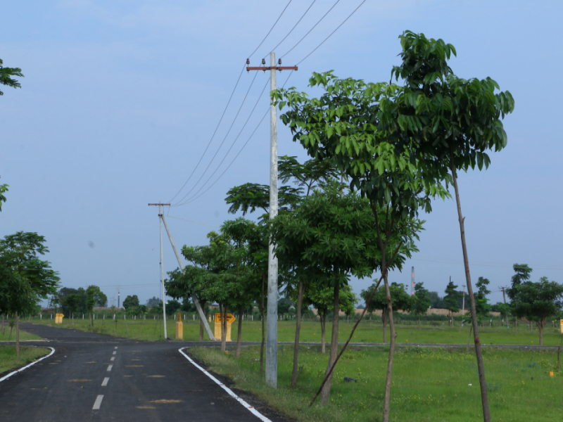 Ashok Thirumazhisai