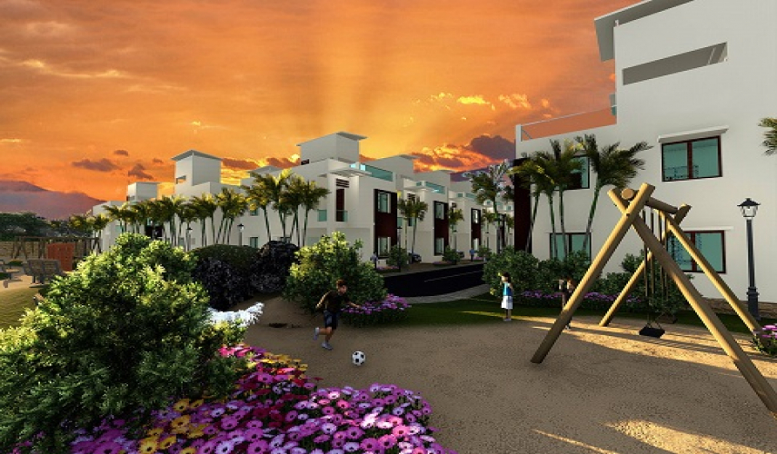 Flower Garden