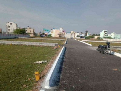 Royal City
