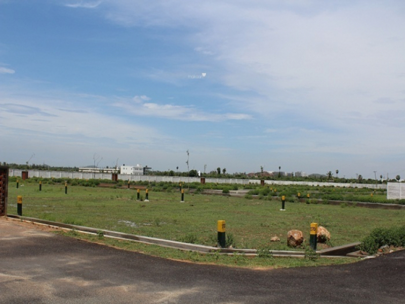 Jones Glory Garden