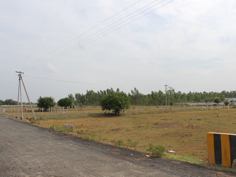 BLB Sree Narasimha Nagar