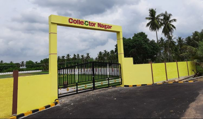 Collector Nagar