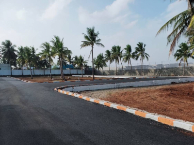 VIT Avenue