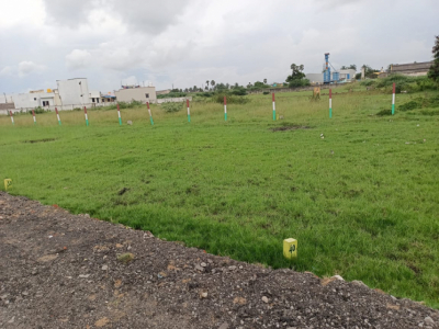 Murugan Avenue