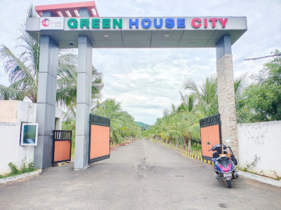 Green House City