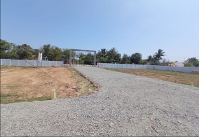 Vetrivel Avenue