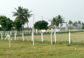 607 - 2954 Sqft Land for sale in Pudupakkam
