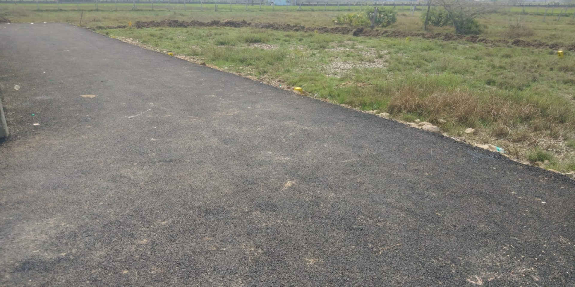 Bonte SKS Mithran Avenue