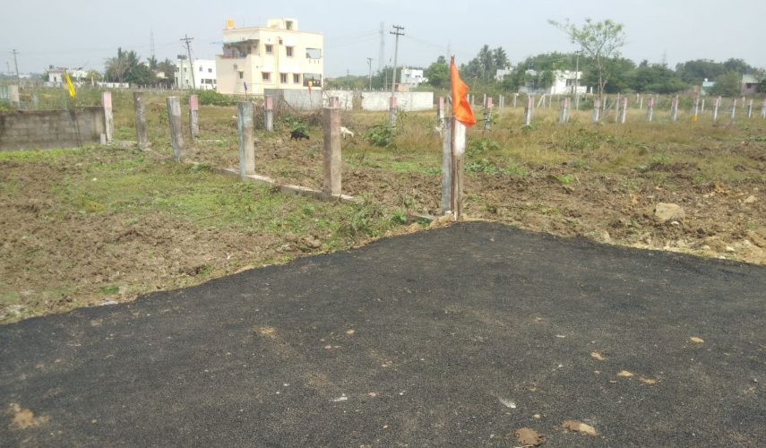 Bonte SKS Mithran Avenue