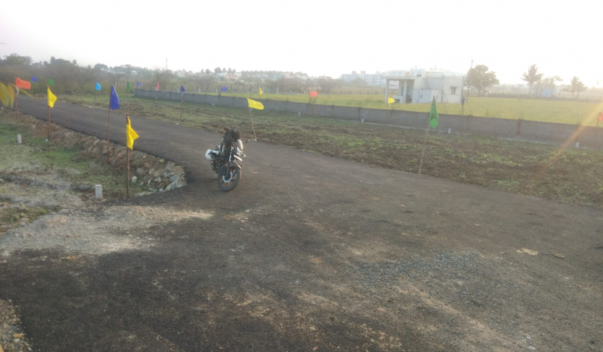 Bonte SKS Mithran Avenue