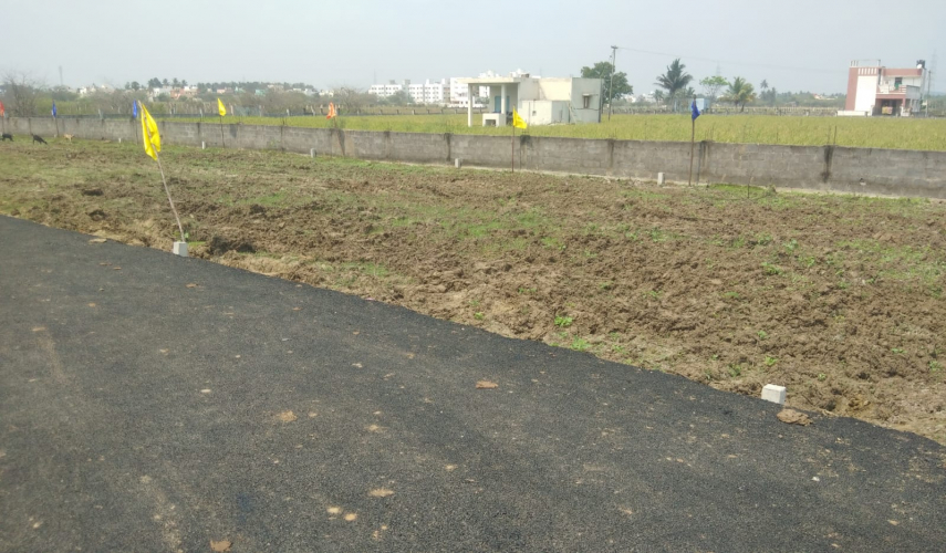 Bonte SKS Mithran Avenue