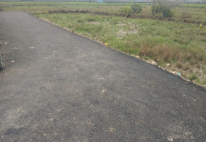 Bonte SKS Mithran Avenue