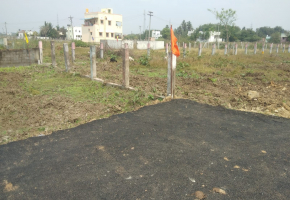 Bonte SKS Mithran Avenue