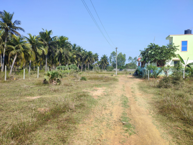 Shalom Nagar