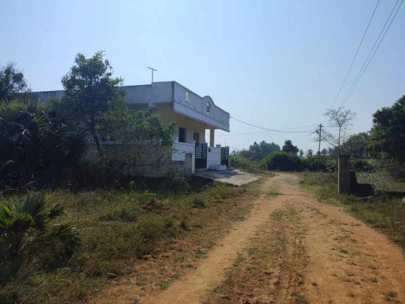 Shalom Nagar