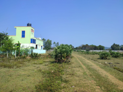 Shalom Nagar
