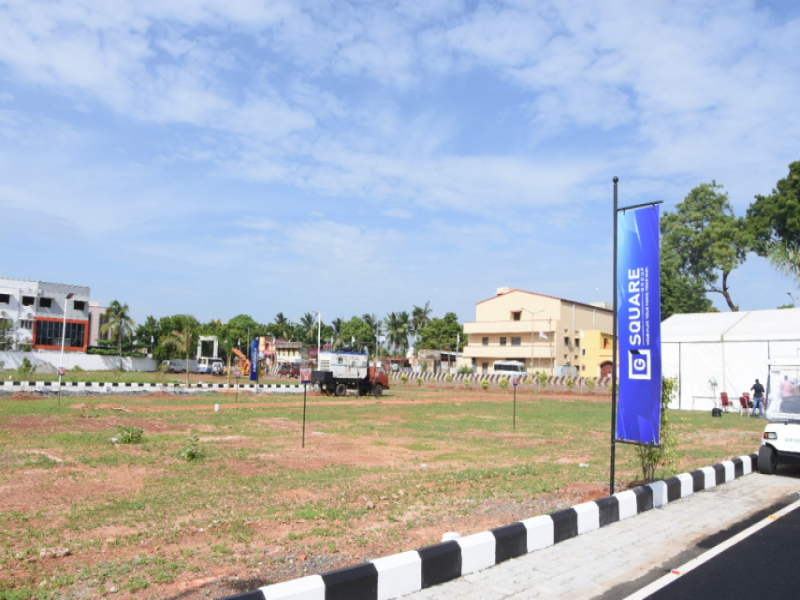 G Square Northern Ally