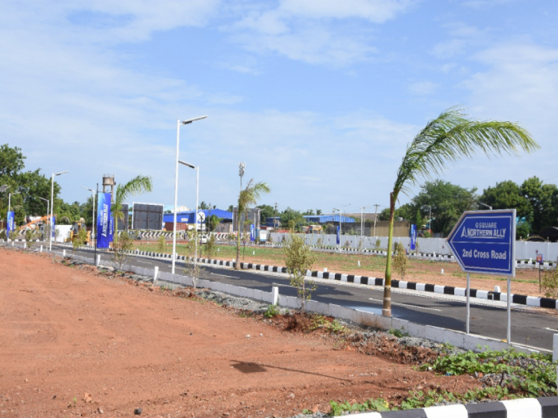 G Square Northern Ally