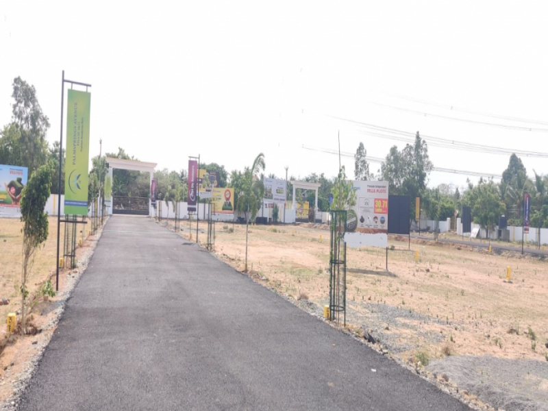 Palmsprings Avenue