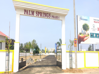 Palmsprings Avenue