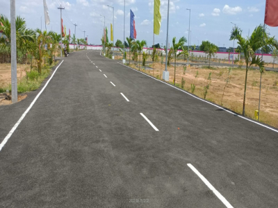 Premier JJS Garden