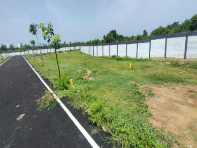 Krithika City