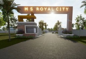 MS Royal City