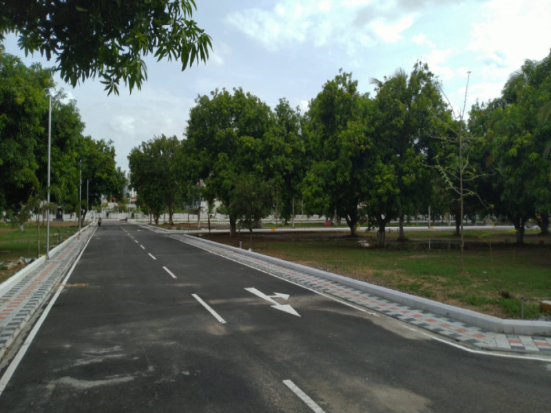 The Orchard