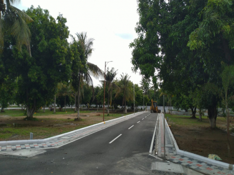 The Orchard