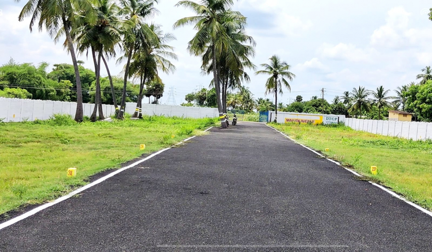 Maruthi Avenue
