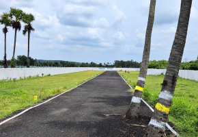 Maruthi Avenue