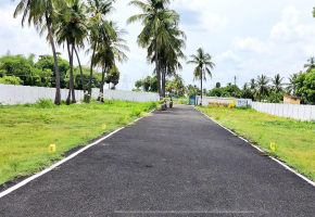 Maruthi Avenue