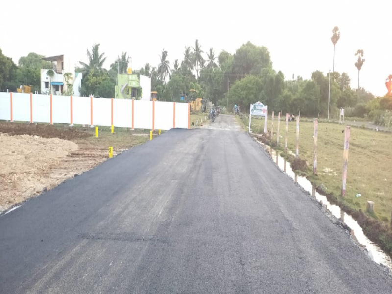 Serasa Greens