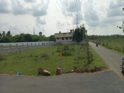 NF New Town