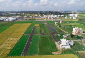 Agriya Phase 2