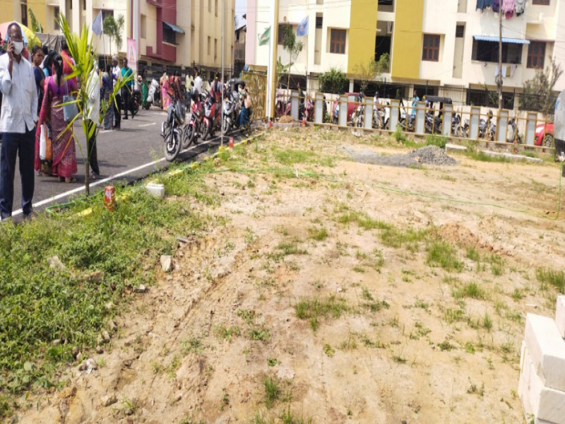 Senka Maneesh Avenue