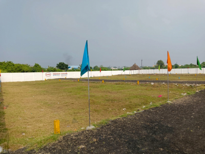 Senka Five Star Nagar