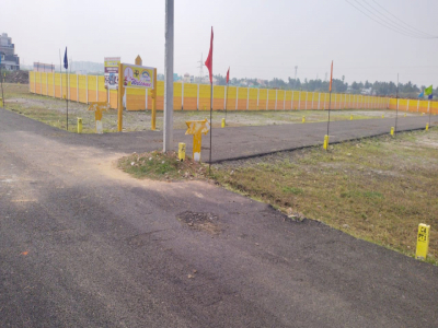 Senka Rainbow Avenue