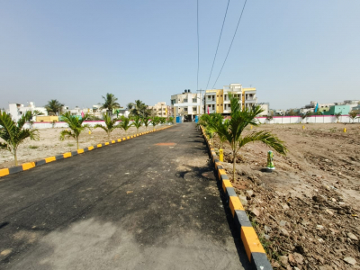 Premier Garden
