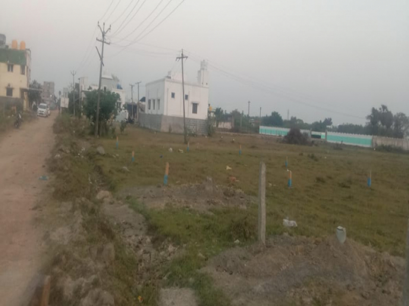 Praveen Joy