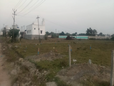 Praveen Joy