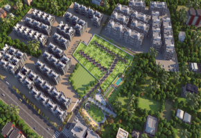 Urban Tree Citrine Sanctum