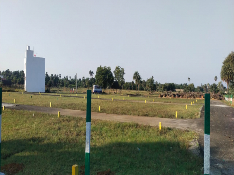 Sri Lake Gardens